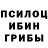 Псилоцибиновые грибы MAGIC MUSHROOMS Valera Nabiev