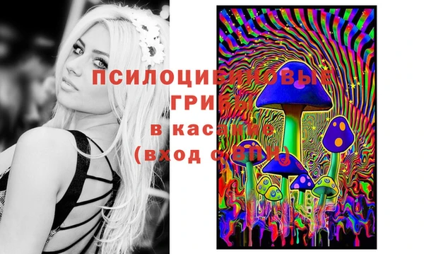 твердый Ельня