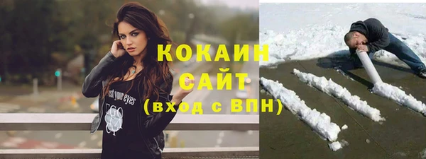 ПСИЛОЦИБИНОВЫЕ ГРИБЫ Заводоуковск