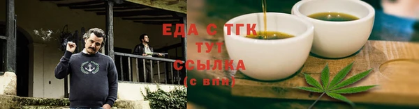 индика Елабуга