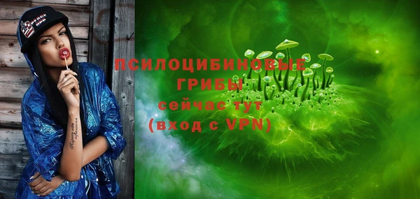 ПСИЛОЦИБИНОВЫЕ ГРИБЫ Заводоуковск