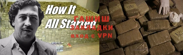 индика Елабуга