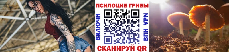нарко площадка какой сайт  Знаменск  Галлюциногенные грибы Psilocybe  купить наркотики сайты 