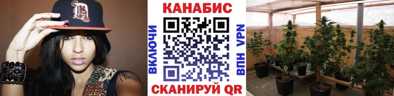 Марихуана тримм где продают Знаменск